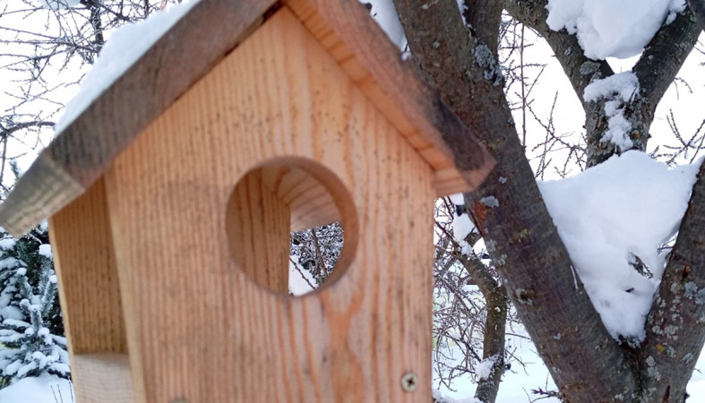 скворечник