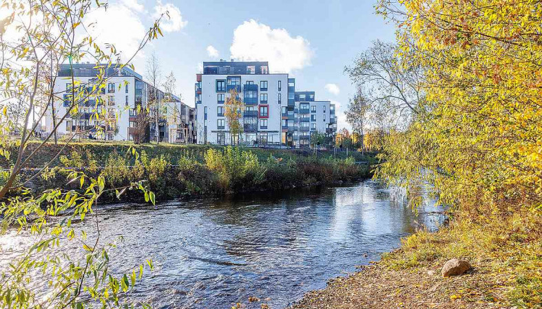 Вид на речку