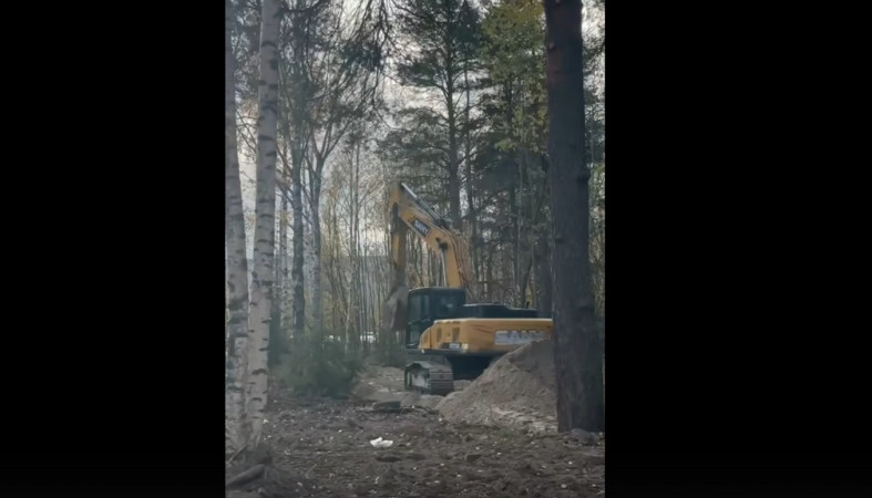 техника в аллее