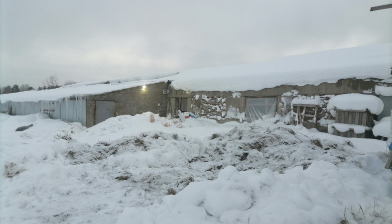 подсобное хозяйство