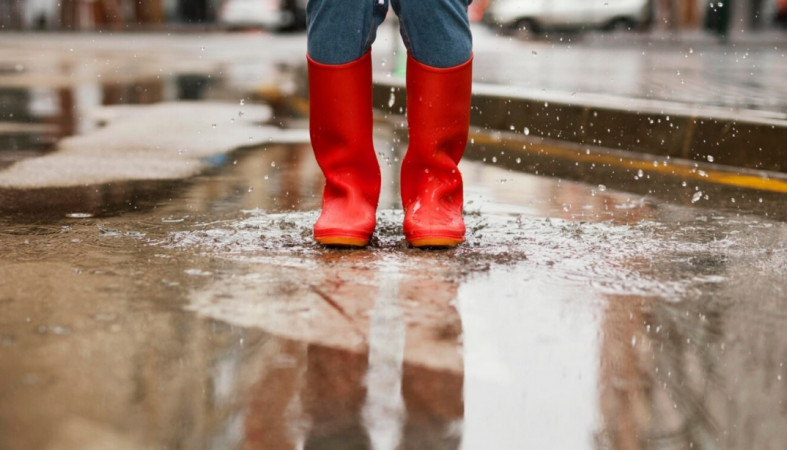 сапоги и лужа