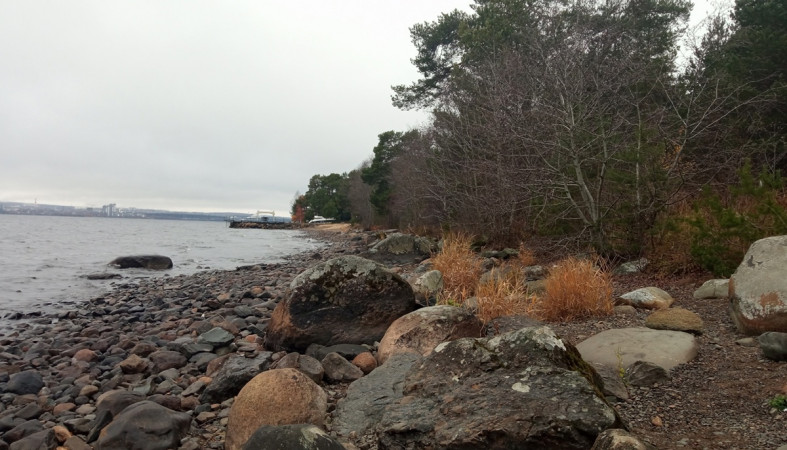 берег берег