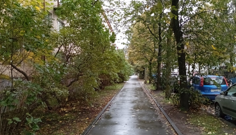 осень
