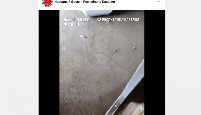 лужа у подъезда лужа