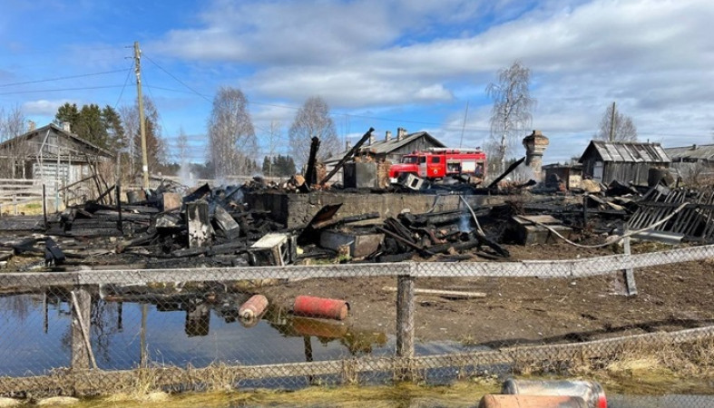 Пожилая женщина заживо сгорела в доме