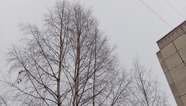 зимнее небо