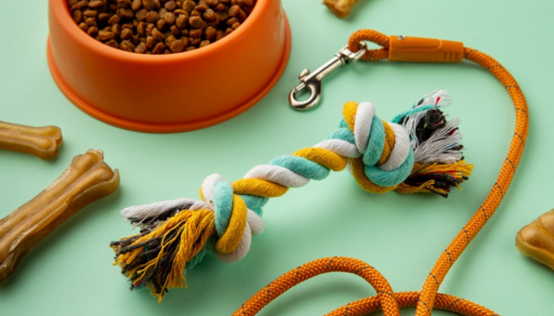 вещи для собак вещи для собак