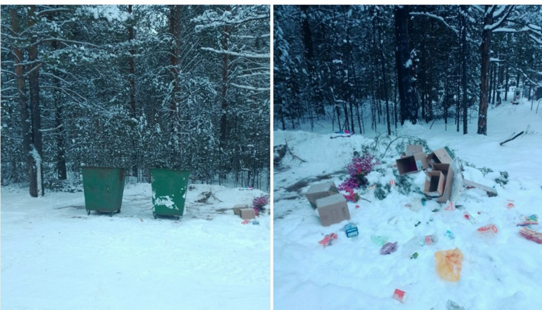 свалка контейнеры