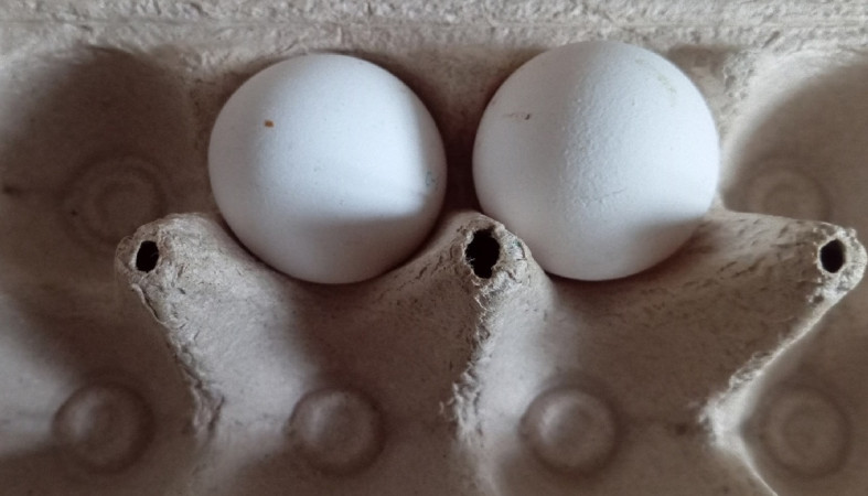 яйца в коробке яйца в коробке