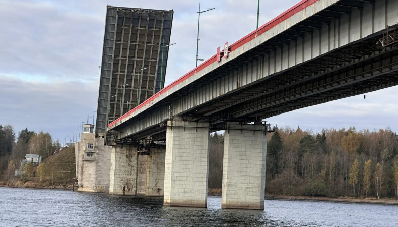 Ладожский мост