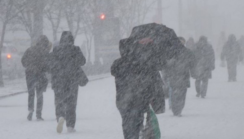 МЧС предупреждает о сильном ветре и мокром снеге в Карелии
