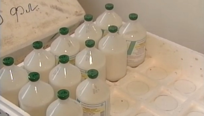 вакцина для птиц