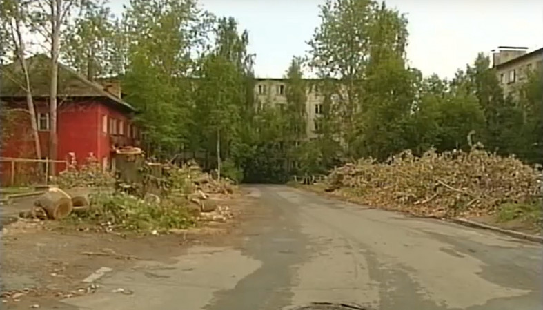 аварийный тополь