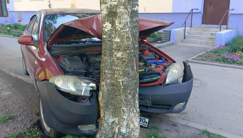 дтп_дерево
