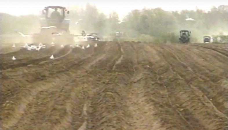 трактор поле трактор поле