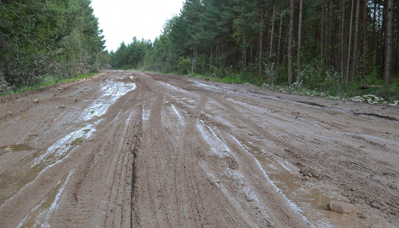 Жители Прионежья требуют отремонтировать дорогу «Петрозаводск-Ошта»