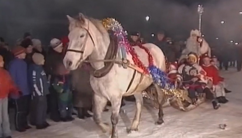 волшебник и лошадь волшебник и лошадь