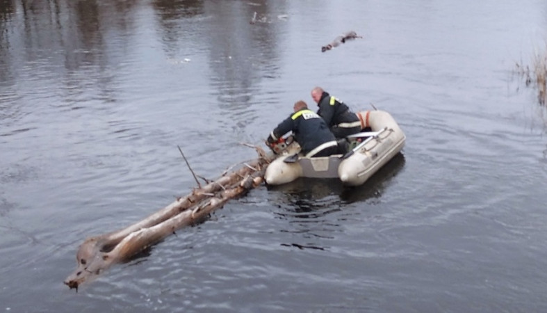 Гку карелия. Гонки на Олонке в Олонце. Фестиваль на воде в Карелии. Картинки праздника гонки на Олонке г Олонецкий. Иркутск-Олонки по воде.