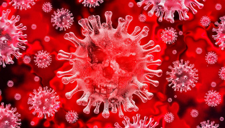 В Карелии зафиксированы еще две смерти от коронавирусной инфекции