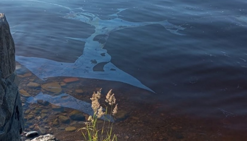На Ладожском озере в Карелии появились пятна мазута