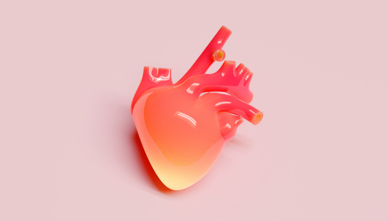 Сердце