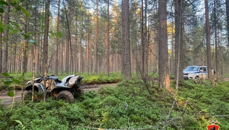 смертельное ДТП