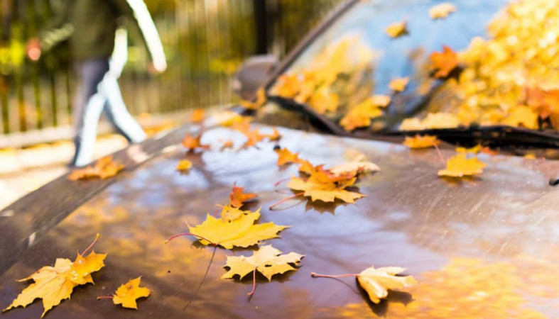 Автомобиль осенью Автомобиль осенью