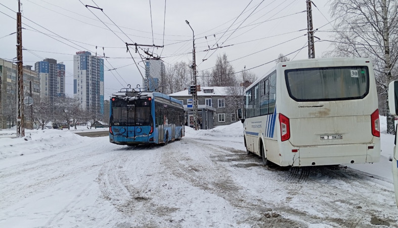 троллейбус и автобус