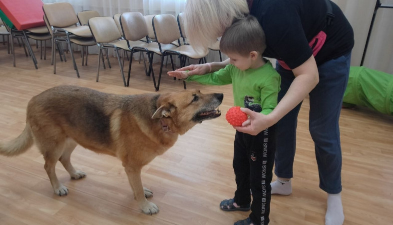 занятие по канистерапии