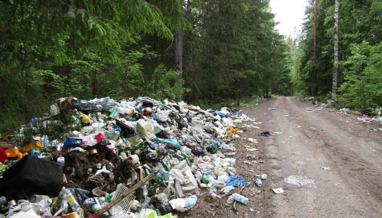 мусор_свалка_дорога