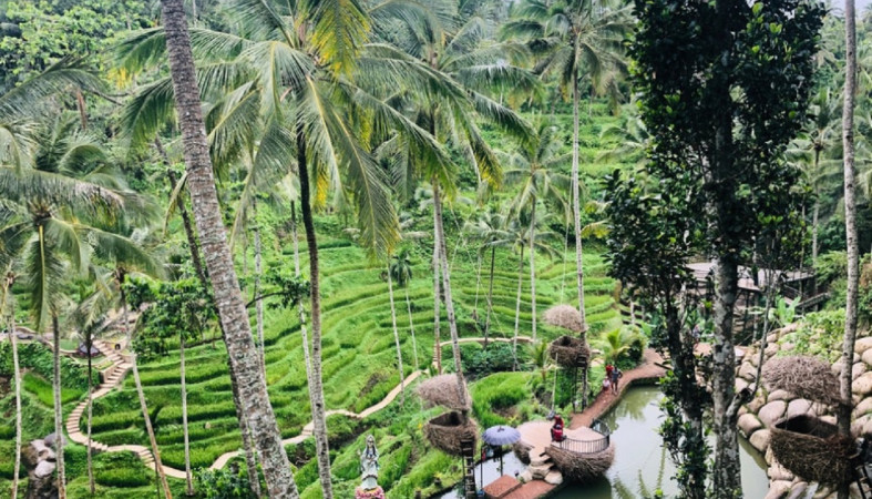 Остров Бали