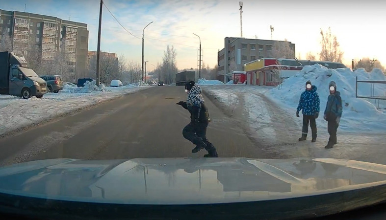 перебегает дорогу перебегает дорогу