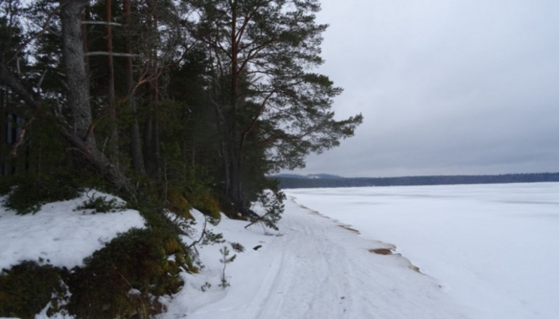 берег озера