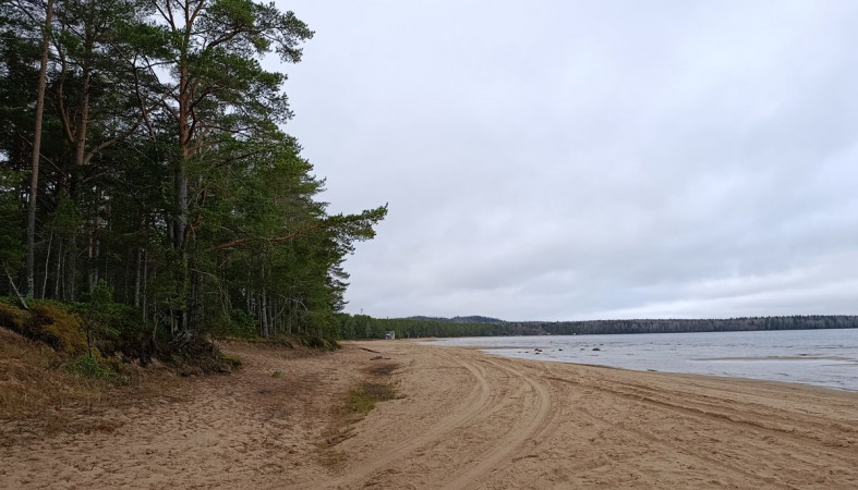 Берег Онежского озера в Шелтозере