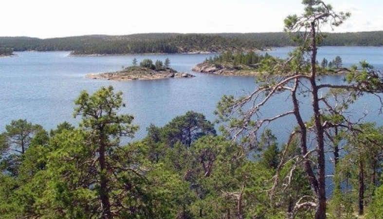 Эко-курорт для отдыха и рыбалки создадут на островах на севере Карелии