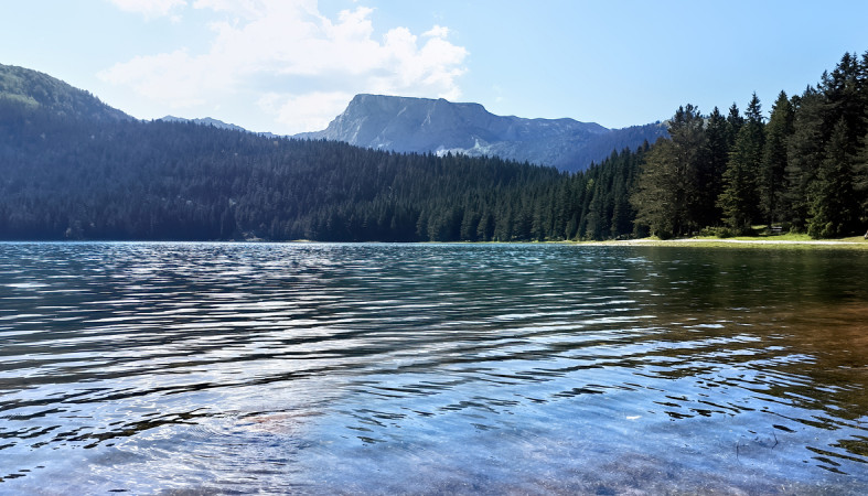 озеро_лес_лето