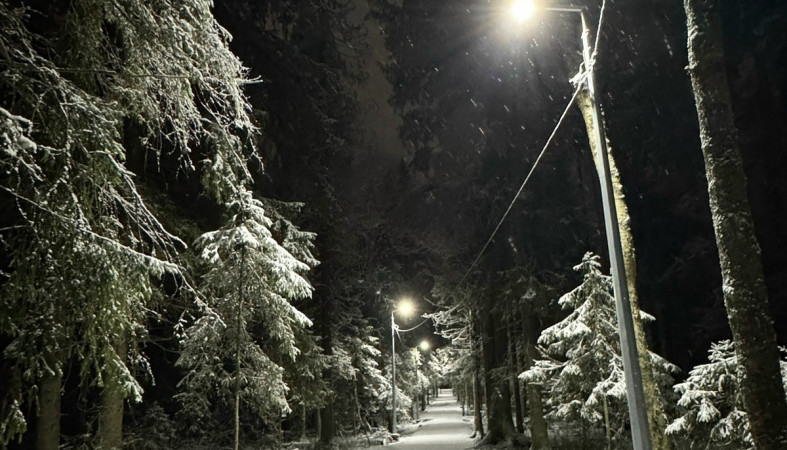 снег_парк_зима_фонарь