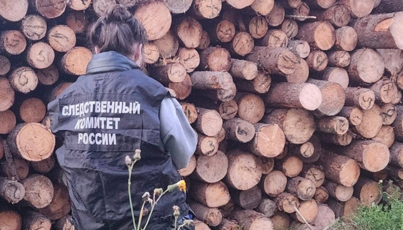 СК, бревна