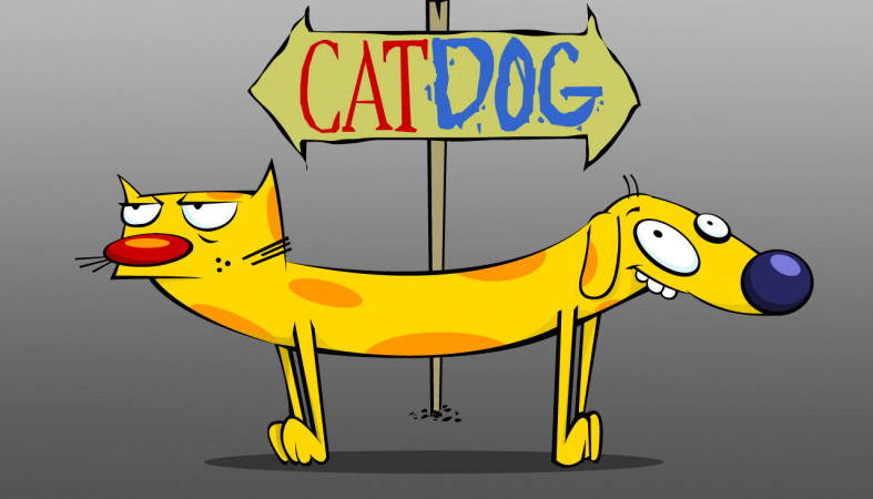 catdog-nicktoons-i18.jpg?itok=2J4b9IJB