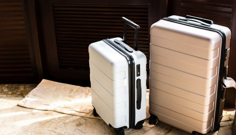 Чемоданы туристов Чемоданы туристов