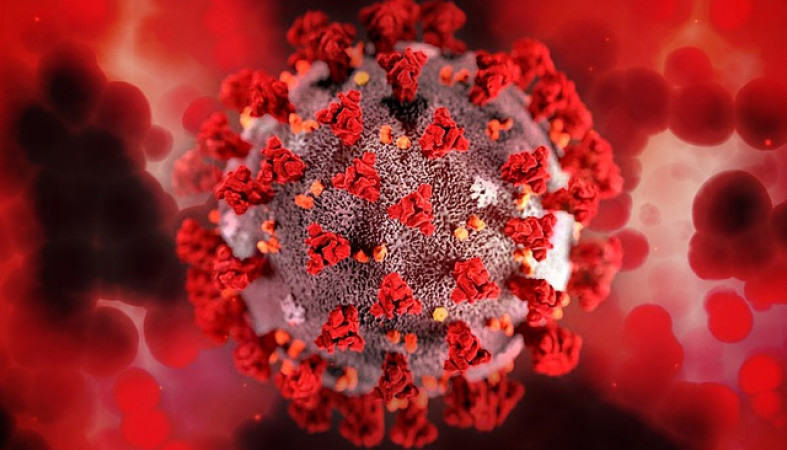 Более 74 тысяч зараженных коронавирусом выявлены в России за сутки