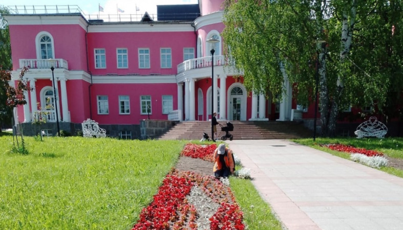 Высадка цветов