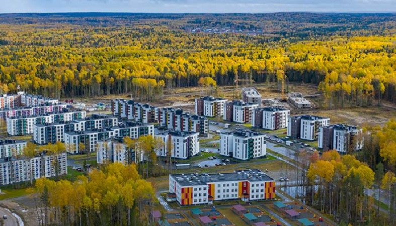 Уютный петрозаводск. Древлянка Петрозаводск. Древлянка 3 Петрозаводск. Мелодия леса Петрозаводск. Лес парк Древлянка Петрозаводск.