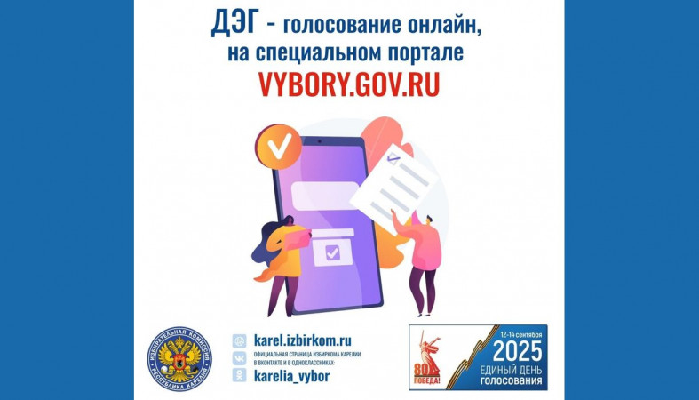 карточка Избиркома РК о ДЭГ
