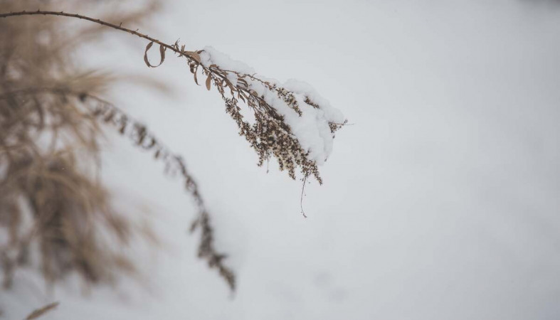 зима_снег_погода