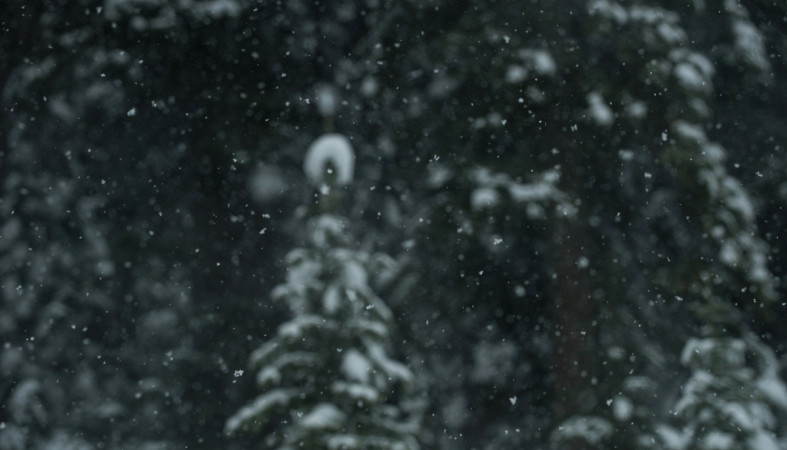 снег_погода