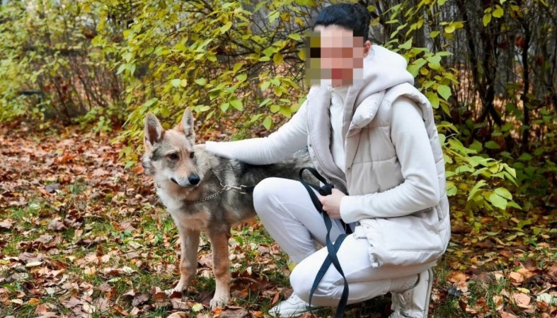 Девушка и Джей