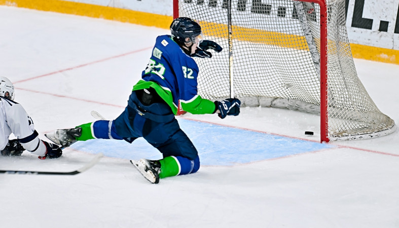 Динамо-Карелия Динамо-Карелия