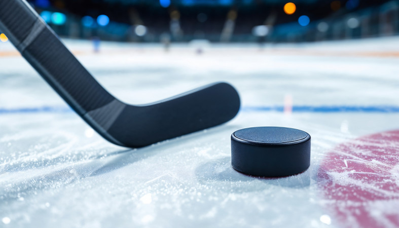 хоккей_шайба