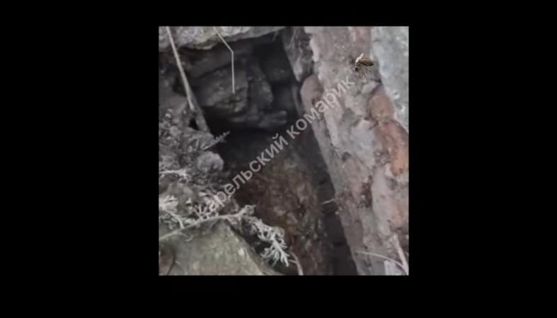 страшный дом